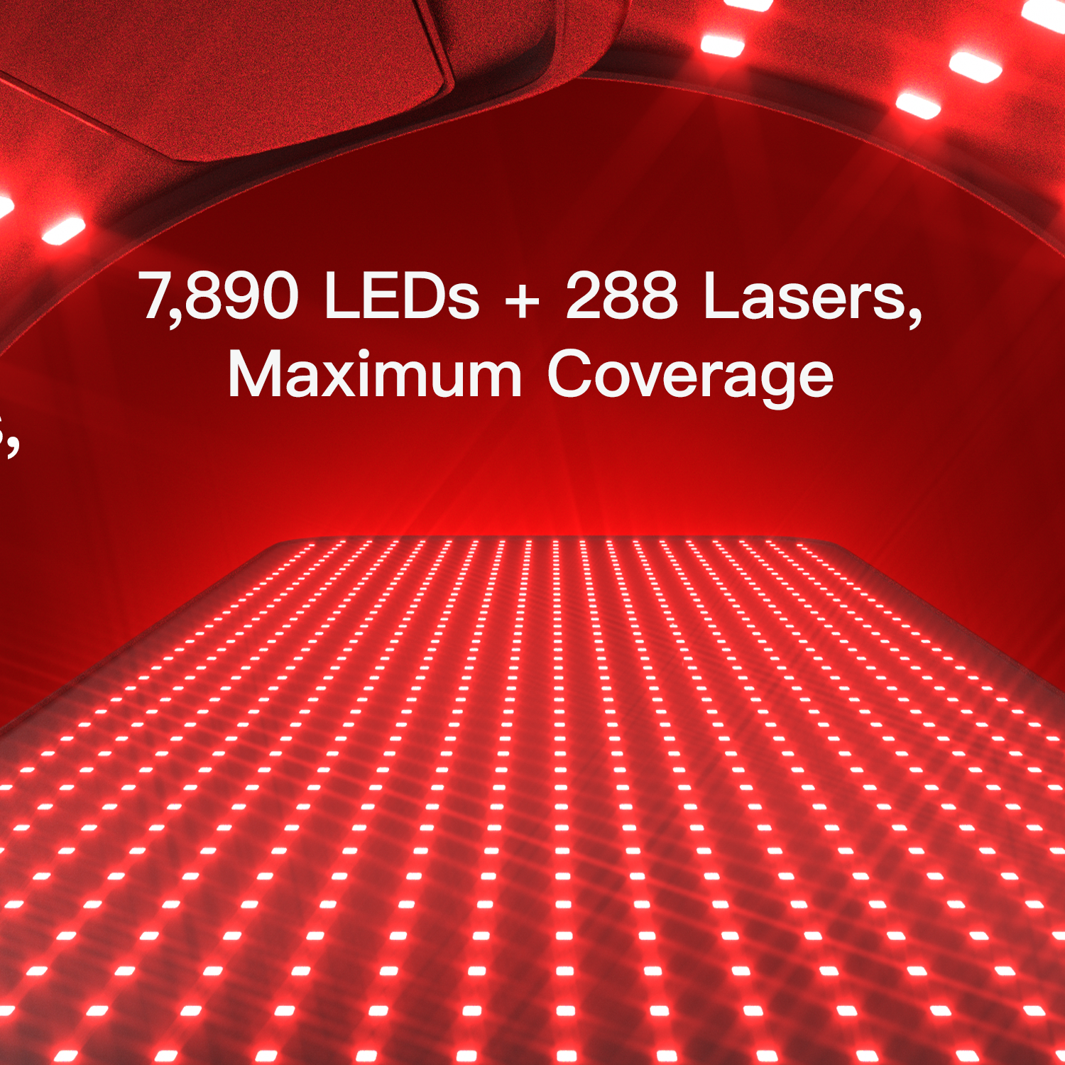 LASER&amp;LED Light Therapy Bag