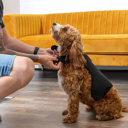 Red Light Therapy Belt for Pets