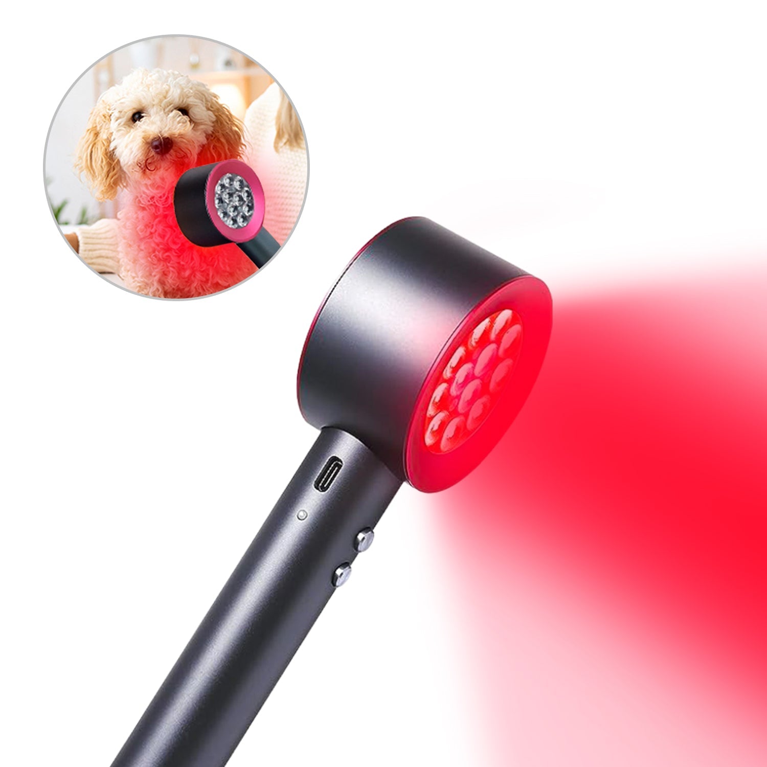 Megelin Red Light Therapy for Pets